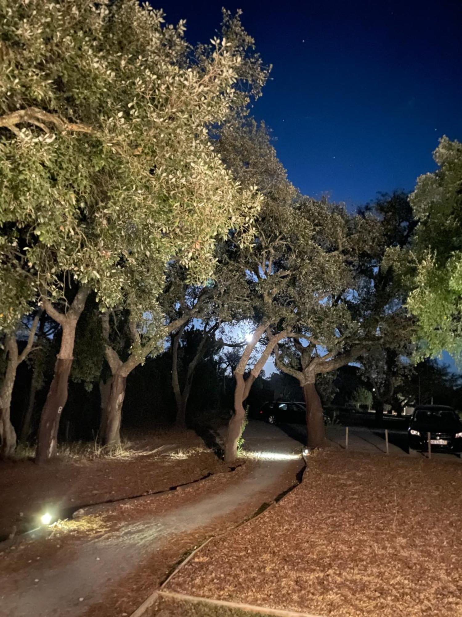 A Espera - Turismo Rural,Melides Luaran gambar